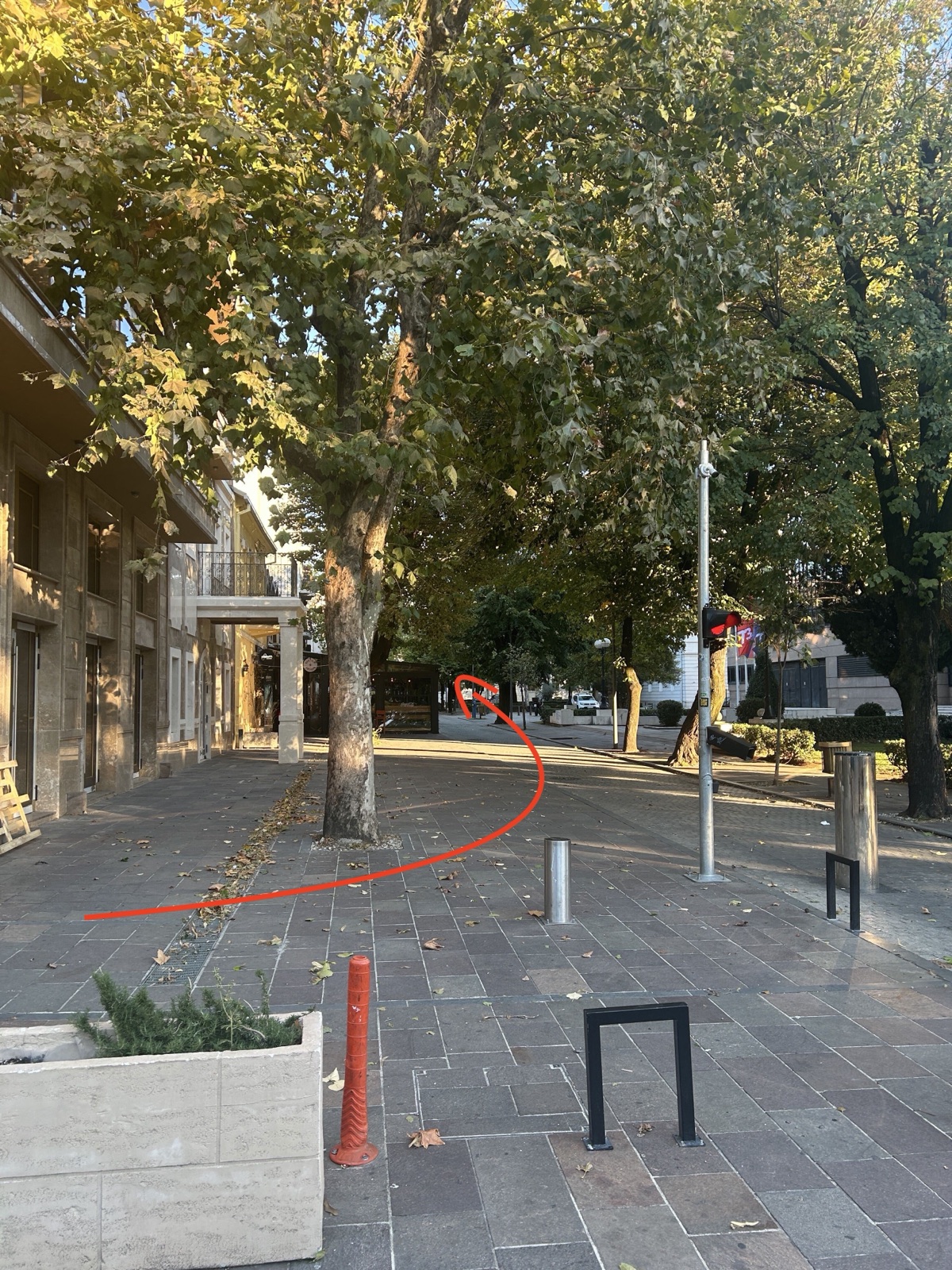 Drvored sa nacrtanom putanjom